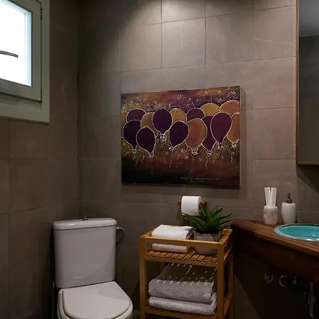 Cycladic Eroza Vakantiehuis Ioulis